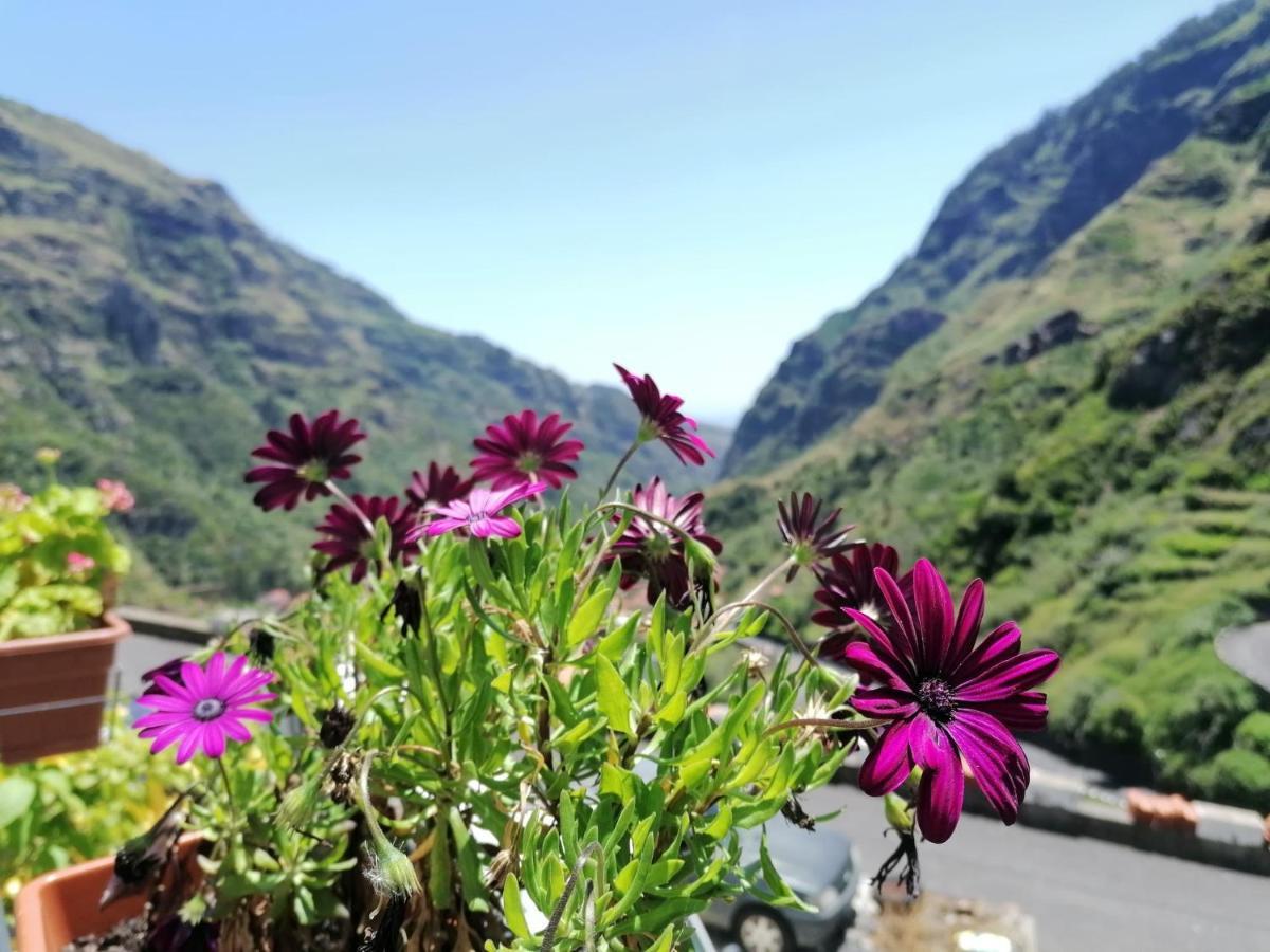 Green Valley House Madeira Ribeira Brava Exterior photo